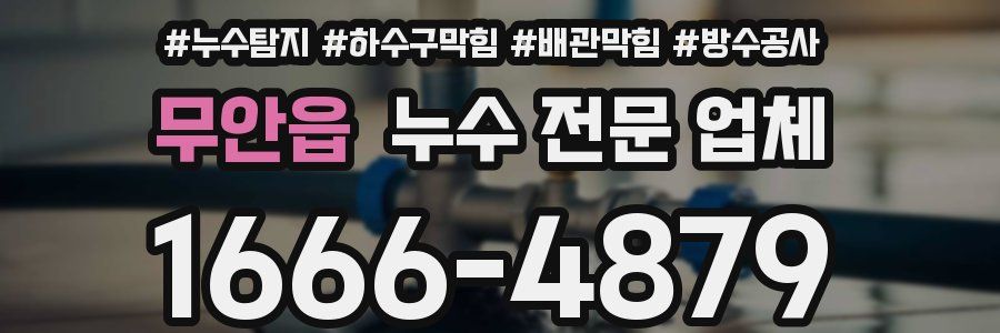무안읍 누수 전문 업체