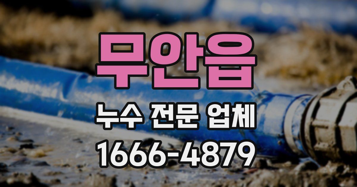 무안읍 누수 전문 업체
