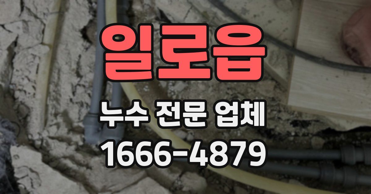일로읍 누수 전문 업체