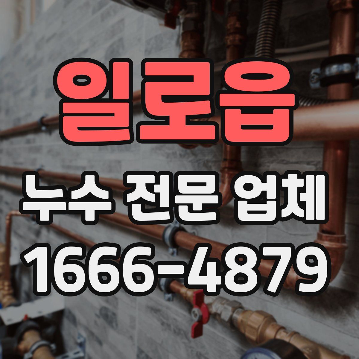 일로읍 누수 전문 업체