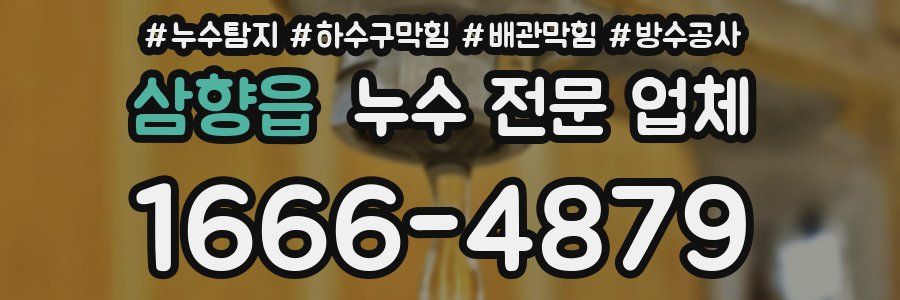 삼향읍 누수 전문 업체