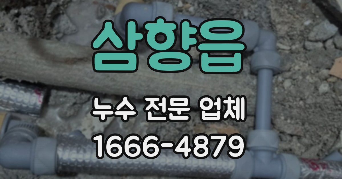 삼향읍 누수 전문 업체