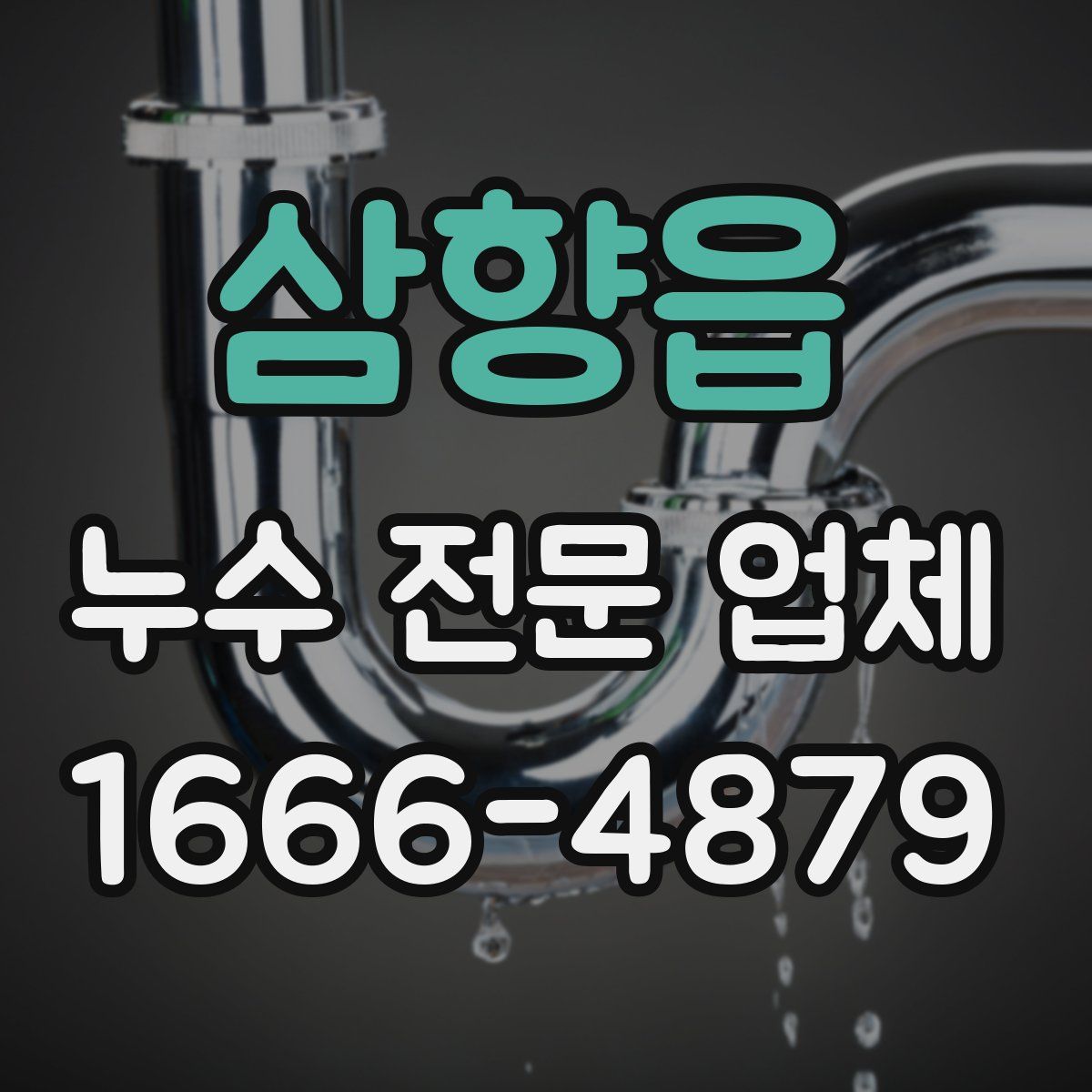 삼향읍 누수 전문 업체