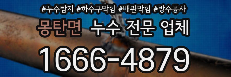 몽탄면 누수 전문 업체