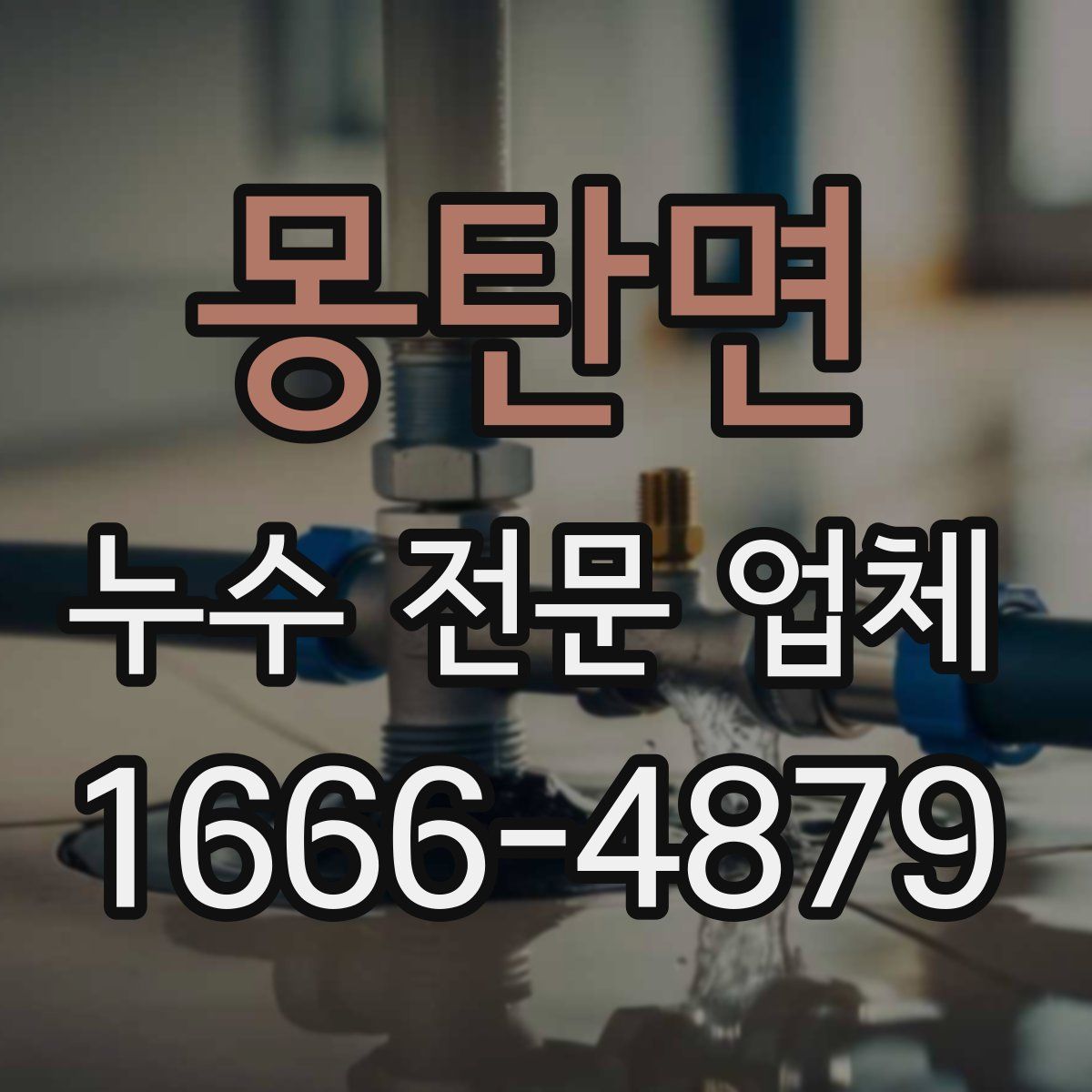 몽탄면 누수 전문 업체