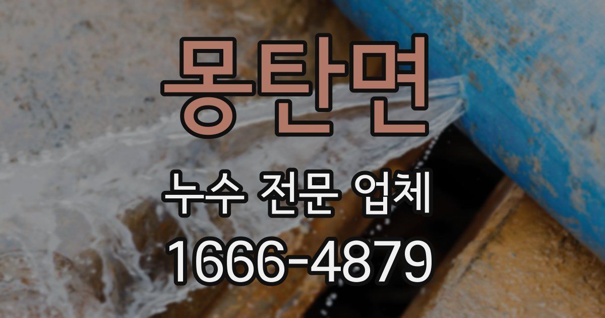 몽탄면 누수 전문 업체