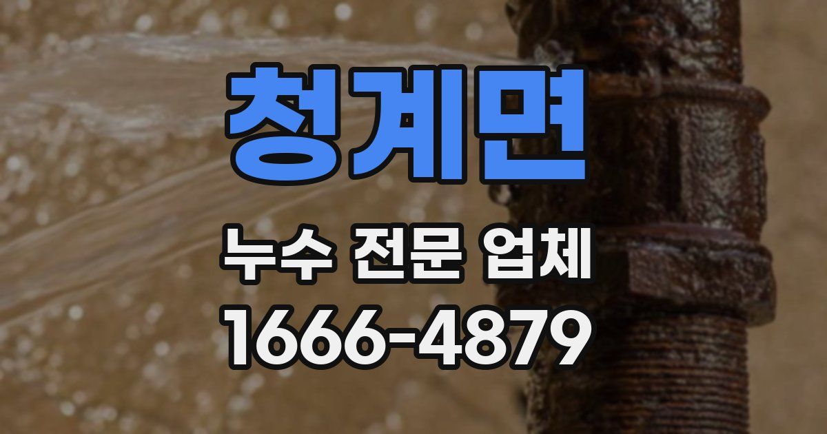 청계면 누수 전문 업체