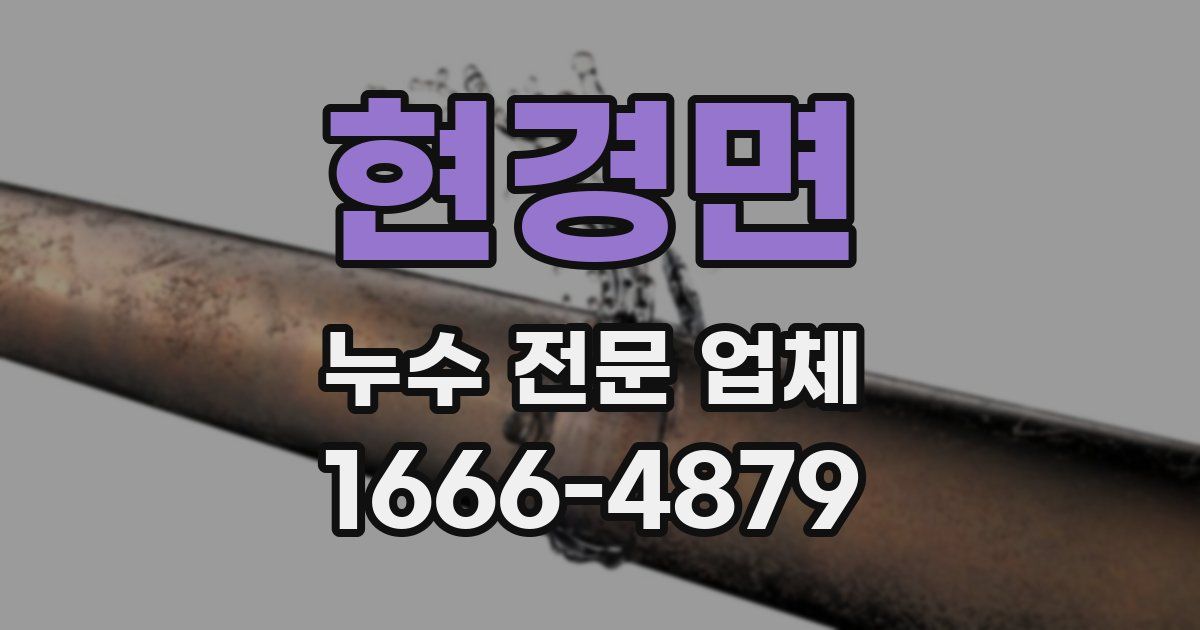 현경면 누수 전문 업체