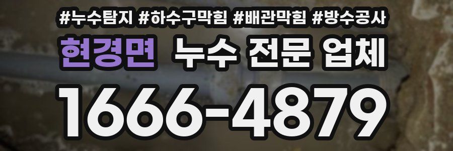 현경면 누수 전문 업체