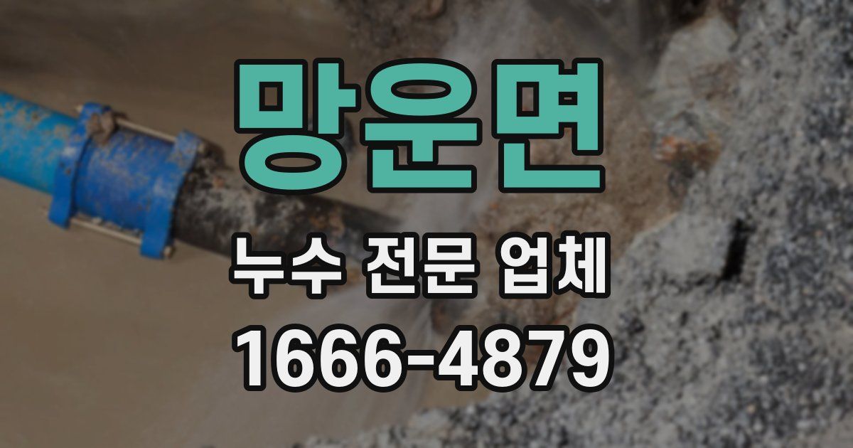 망운면 누수 전문 업체