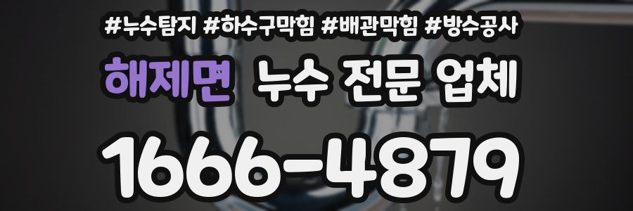해제면 누수 전문 업체
