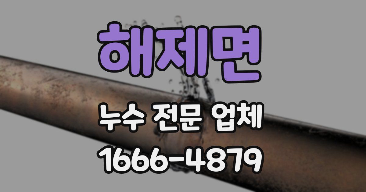 해제면 누수 전문 업체