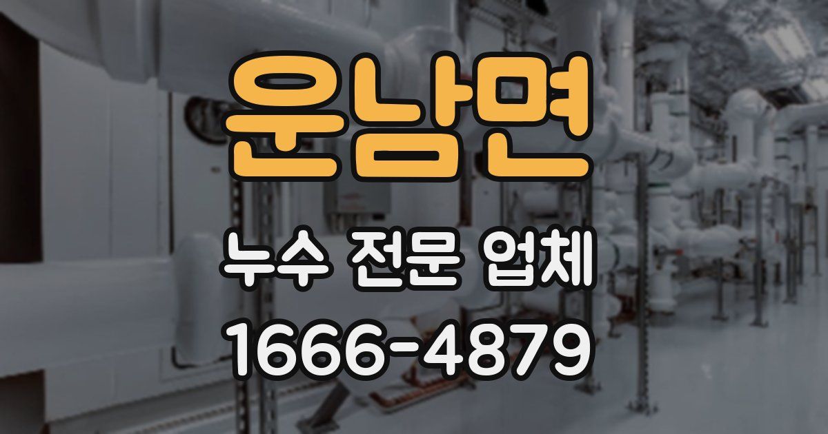 운남면 누수 전문 업체