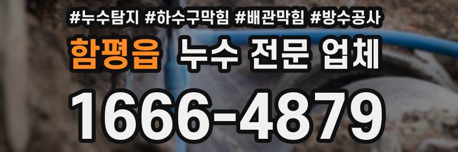 함평읍 누수 전문 업체