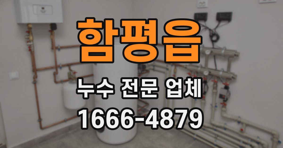 함평읍 누수 전문 업체