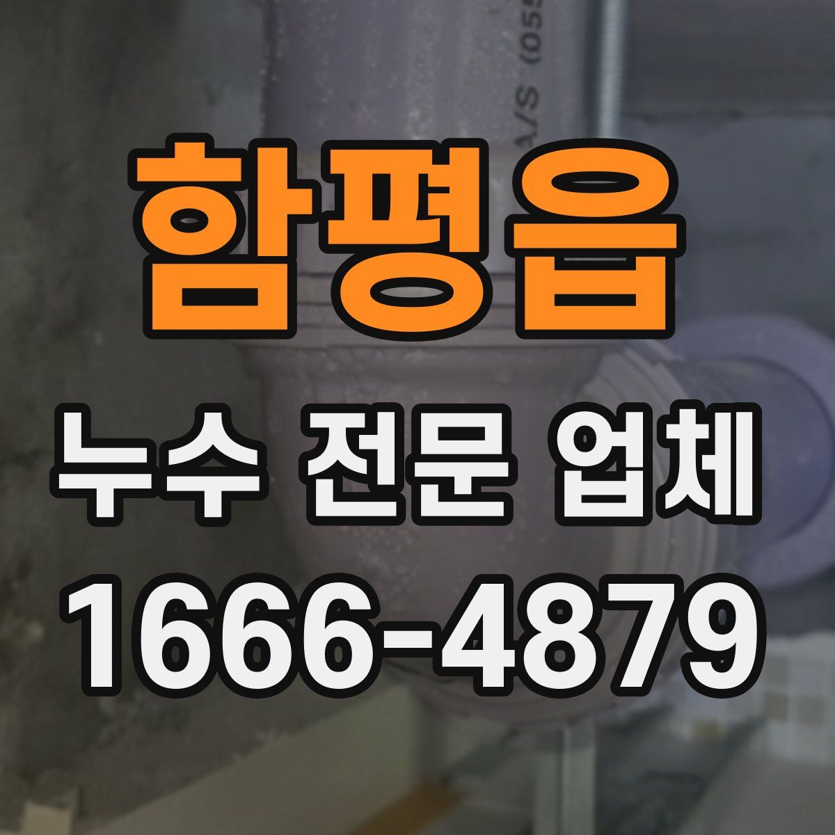 함평읍 누수 전문 업체