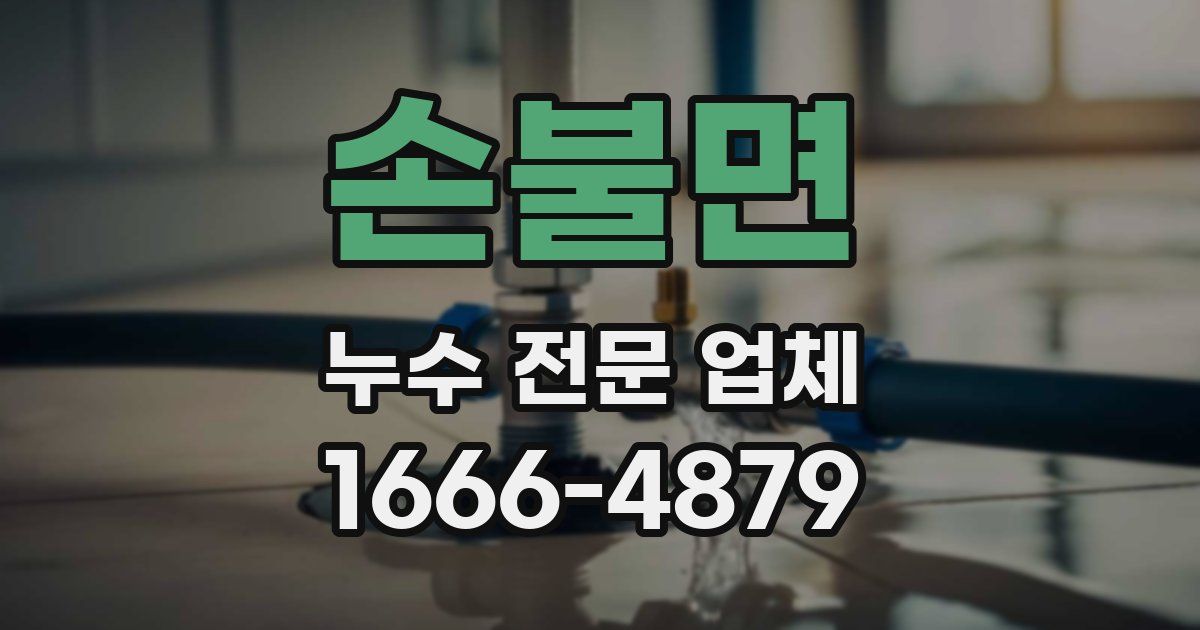 손불면 누수 전문 업체