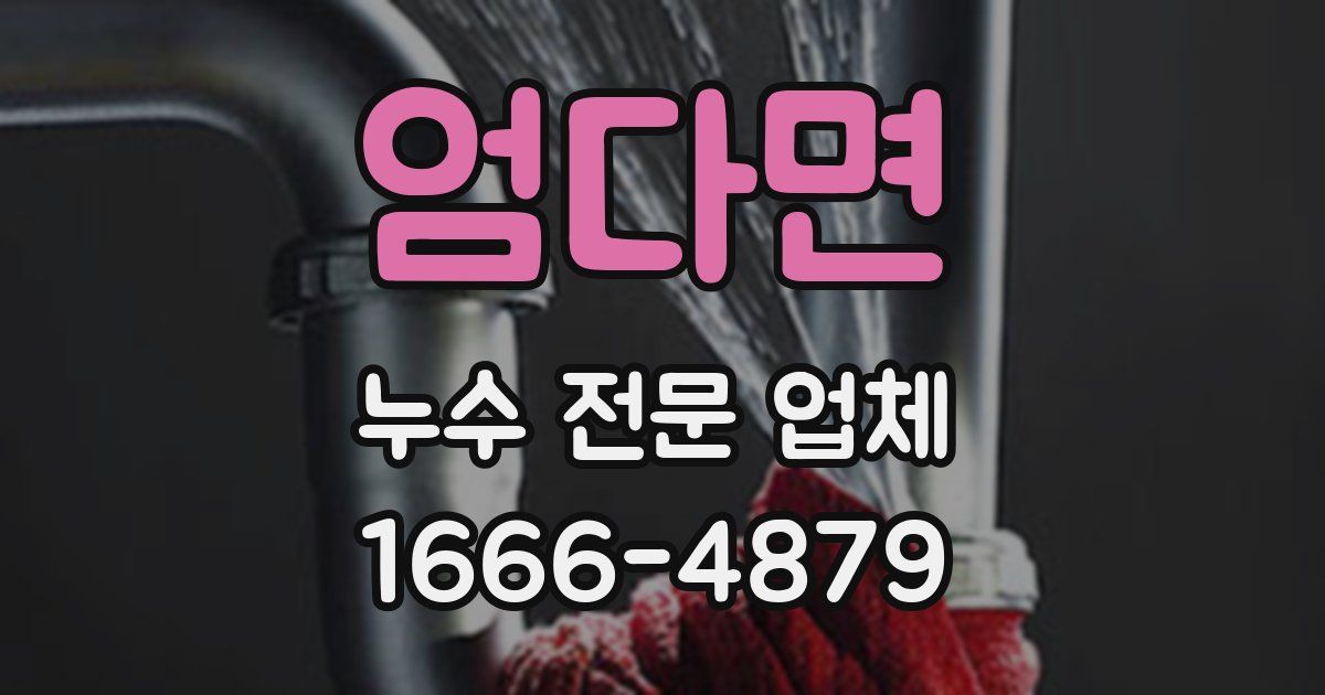 엄다면 누수 전문 업체