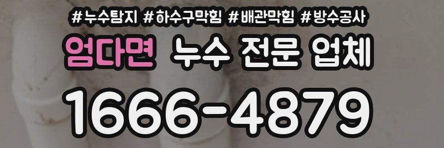 엄다면 누수 전문 업체