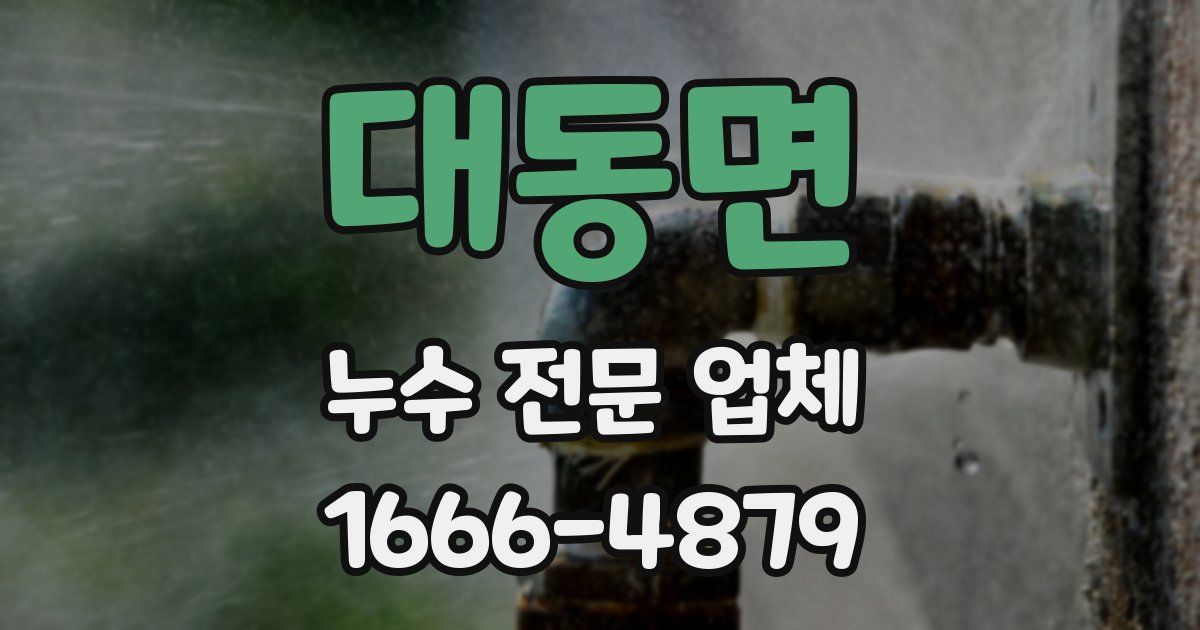 대동면 누수 전문 업체
