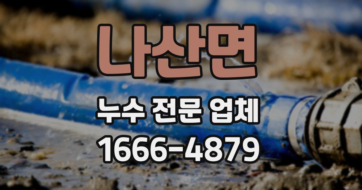 나산면 누수 전문 업체