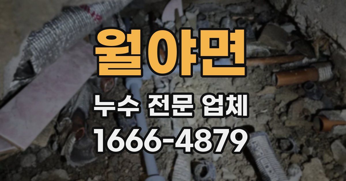 월야면 누수 전문 업체