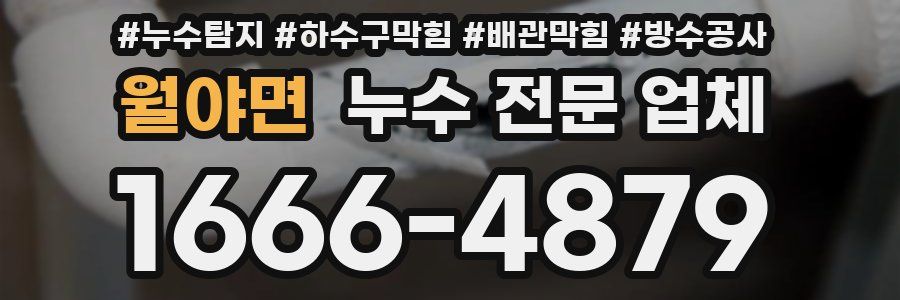 월야면 누수 전문 업체