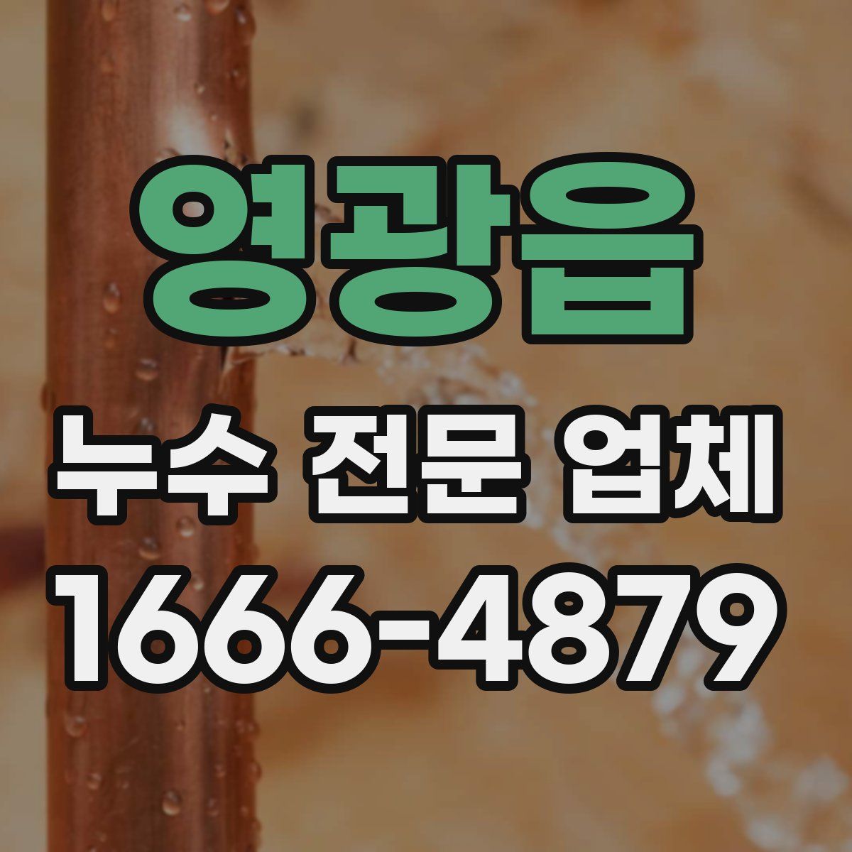 영광읍 누수 전문 업체