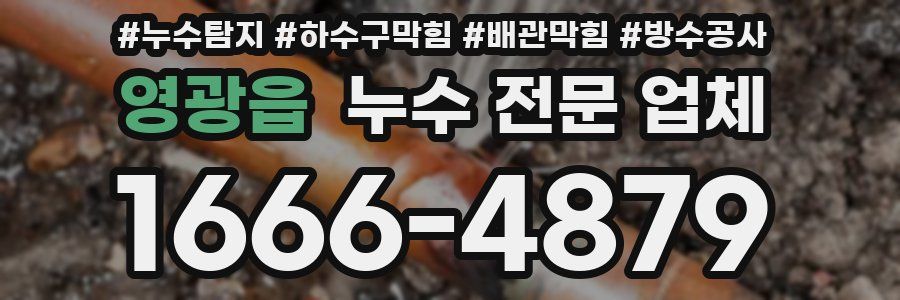 영광읍 누수 전문 업체