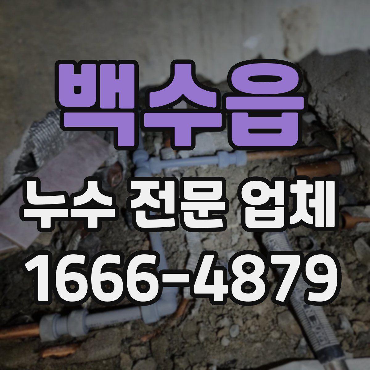 백수읍 누수 전문 업체