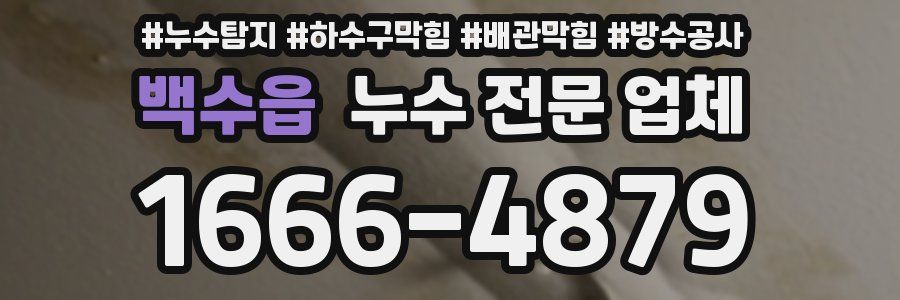 백수읍 누수 전문 업체