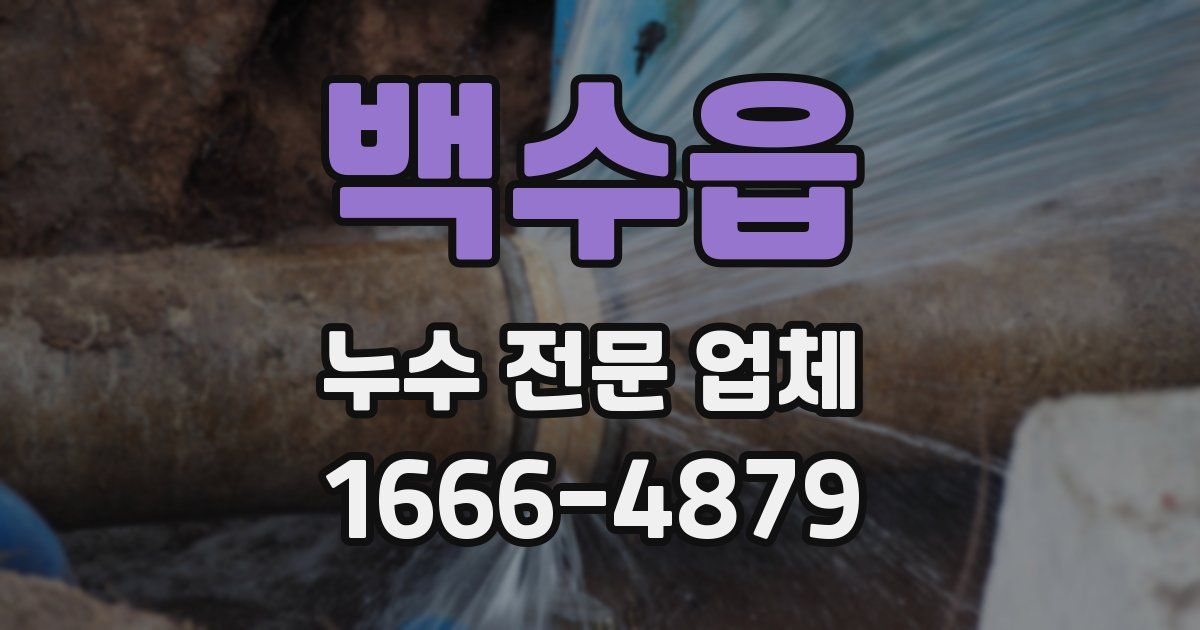 백수읍 누수 전문 업체