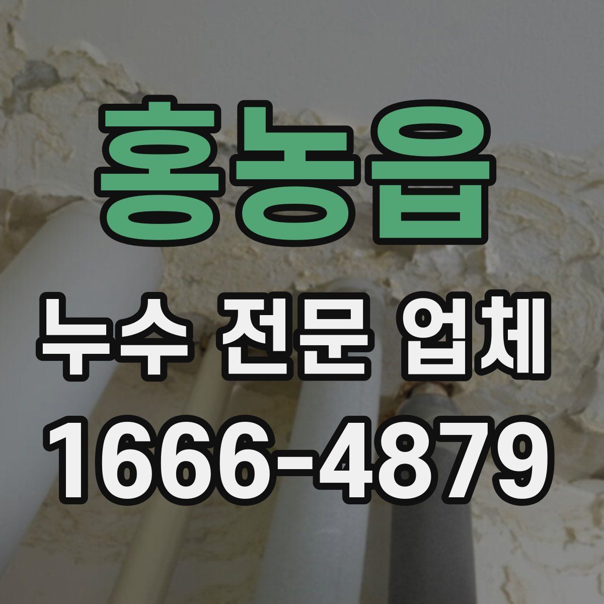 홍농읍 누수 전문 업체