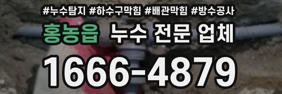 홍농읍 누수 전문 업체