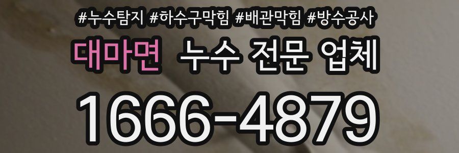 대마면 누수 전문 업체