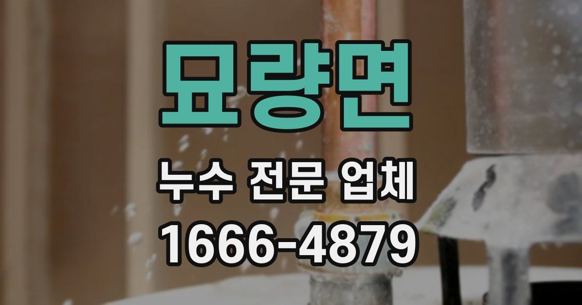 묘량면 누수 전문 업체