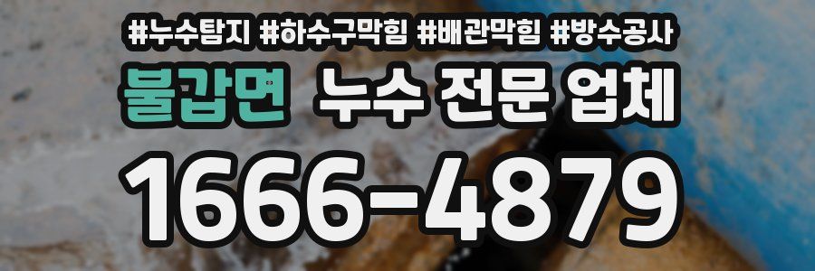 불갑면 누수 전문 업체