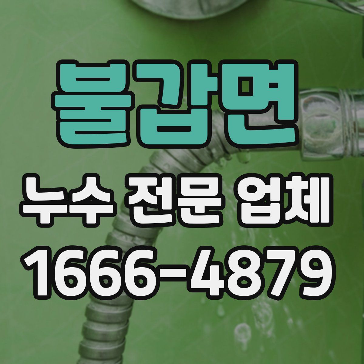 불갑면 누수 전문 업체