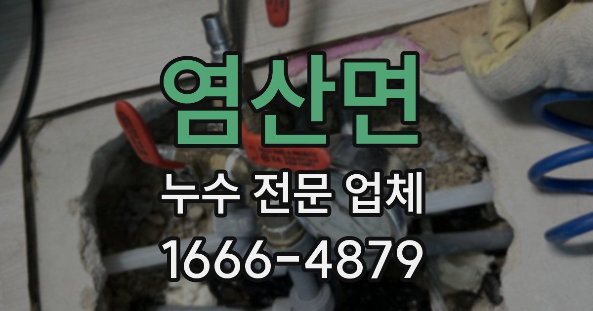 염산면 누수 전문 업체