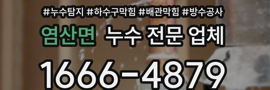 염산면 누수 전문 업체