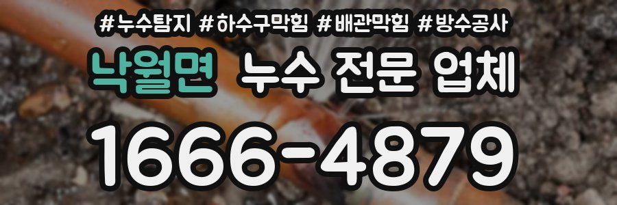 낙월면 누수 전문 업체