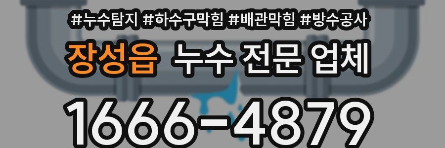 장성읍 누수 전문 업체