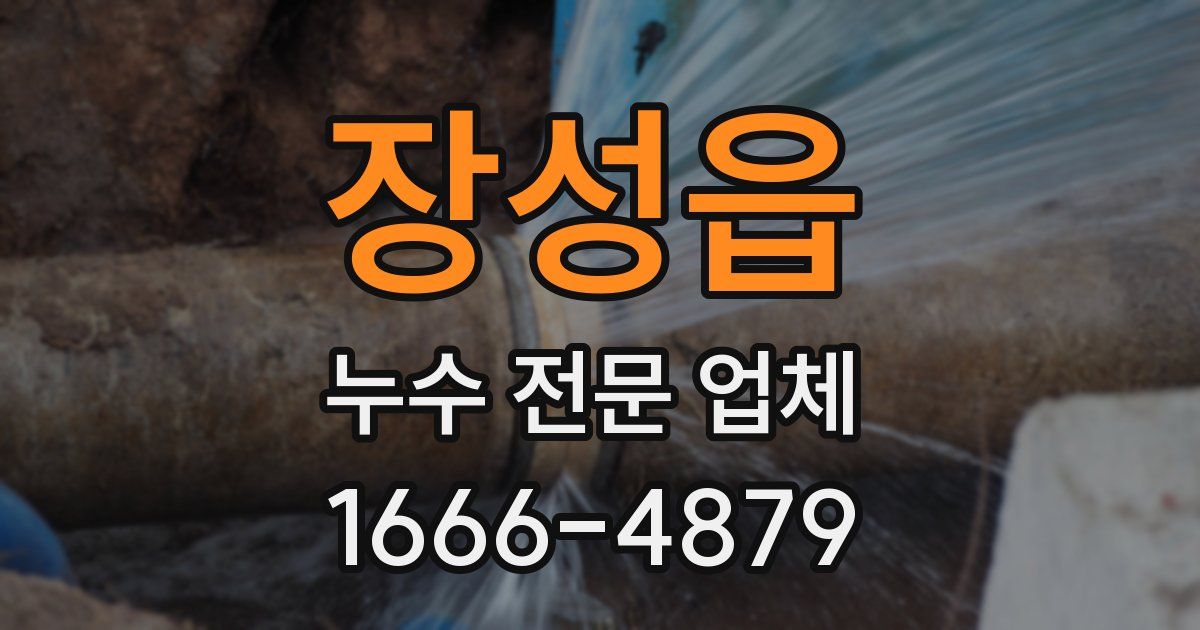 장성읍 누수 전문 업체