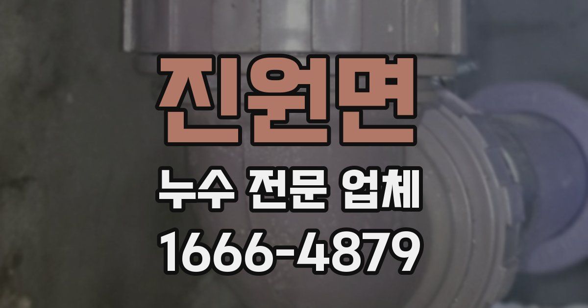 진원면 누수 전문 업체