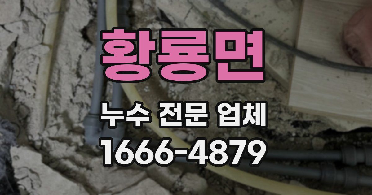 황룡면 누수 전문 업체