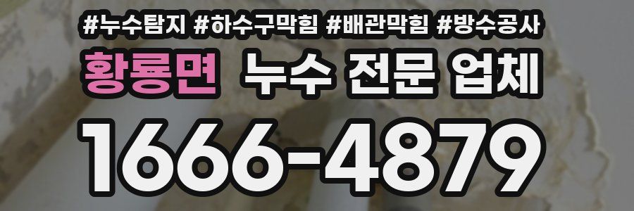 황룡면 누수 전문 업체