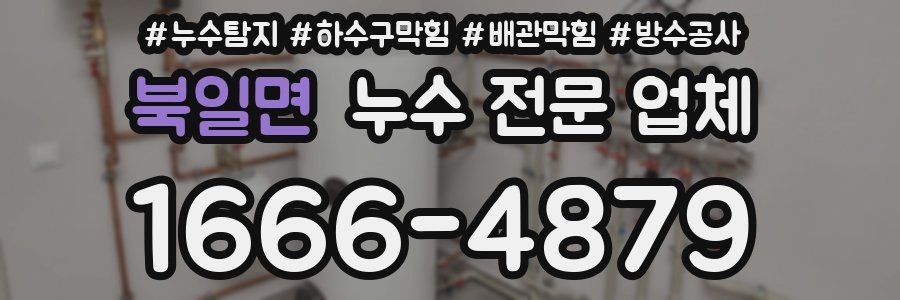 북일면 누수 전문 업체