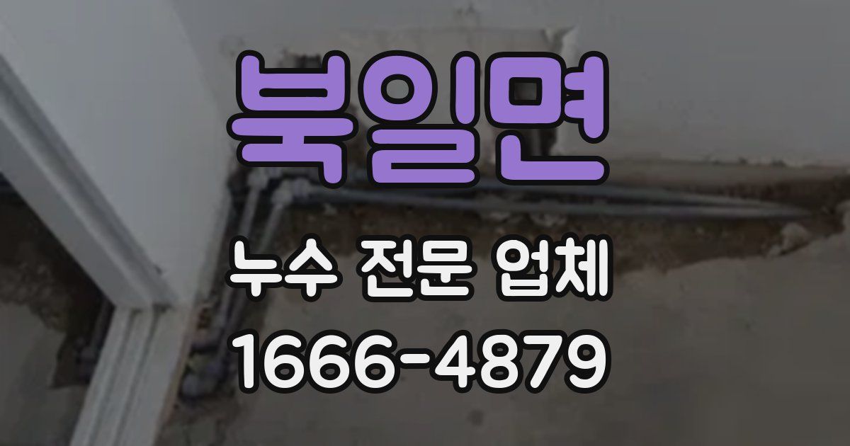 북일면 누수 전문 업체