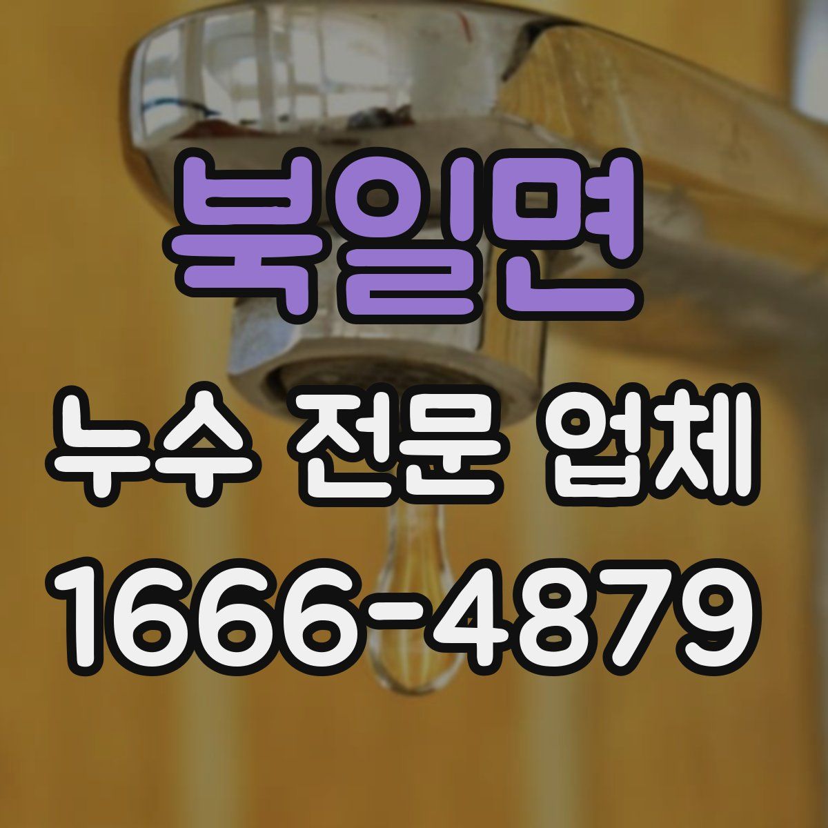 북일면 누수 전문 업체