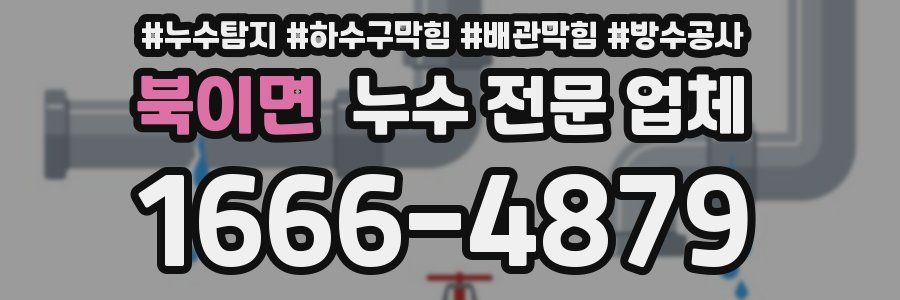 북이면 누수 전문 업체